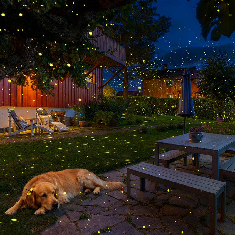 APL&nbsp;LED Firefly Laser Projector: Transform Outdoor Spaces &amp; Boost Business Ambiance